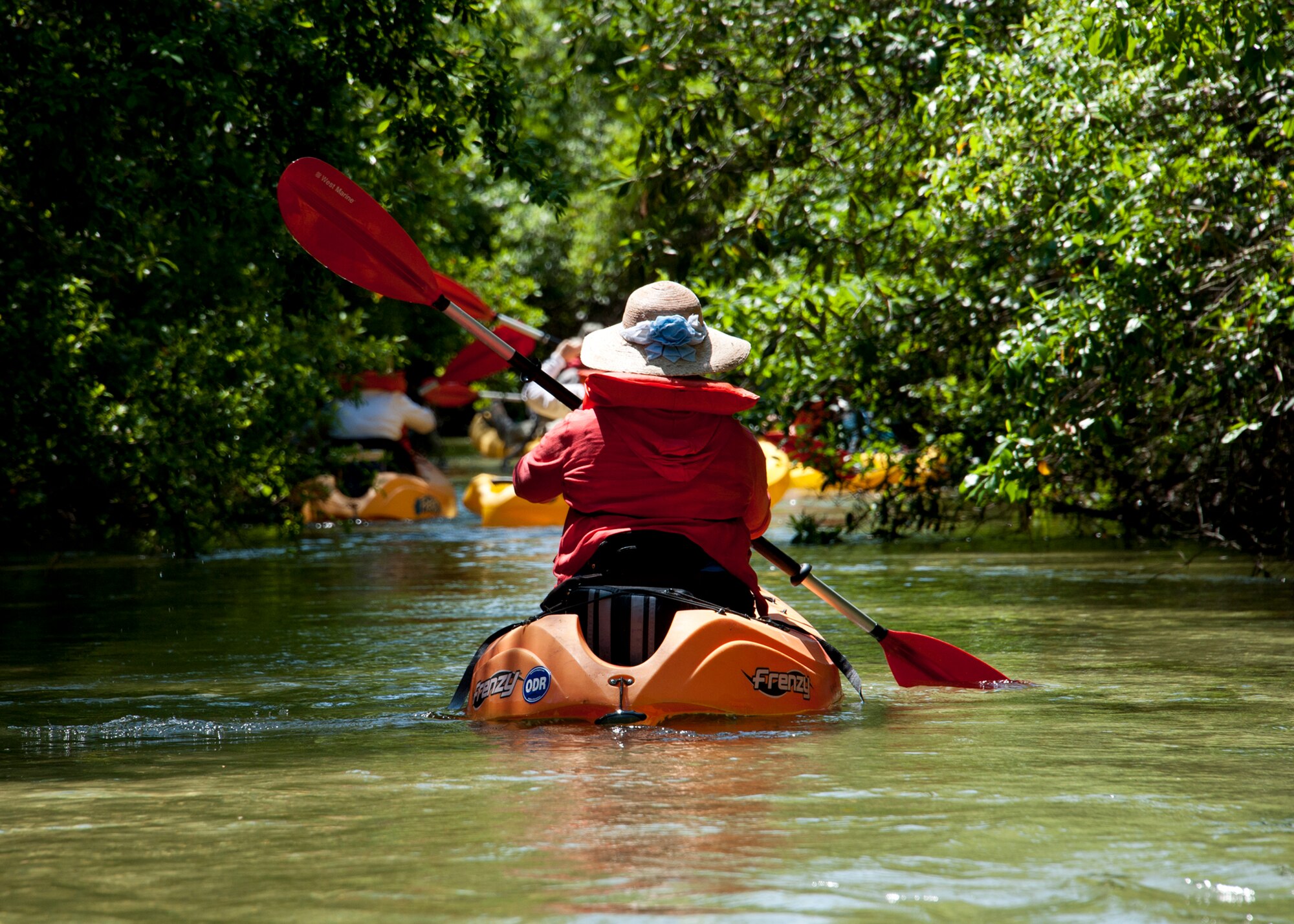 Elisa Rowland admires the tree canopy the surrounds Turkey Creek April 21.  The second annual kayak tour, part of four days of trips, took 10 people down Turkey Creek deep within the Eglin range. The scenic tour showed off Eglin’s unique wild and plant life. The tour closed out Eglin’s week-long Earth Day celebration. The kayaks were donated by Eglin's Outdoor Recreation for each day of the trip. (U.S. Air Force photo/Samuel King Jr.)

