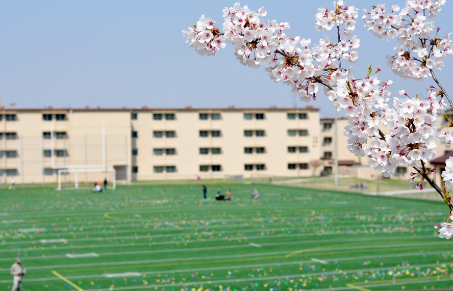 Osan celebrated Month of the Military Child and Child Abuse Prevention Month with a base parade and Easter egg hunt here April 23. About 200 people participated in the parade from the Officers' Club to the Osan High School football field. More than 10,000 plastic eggs were placed around the field for children to pick up during the Easter egg hunt. (U.S. Air Force photo/Staff Sgt. Chad Thompson)