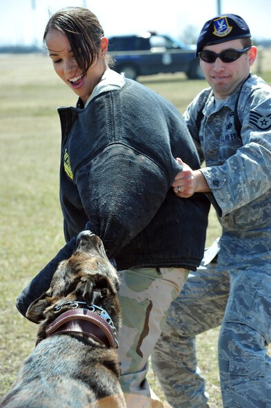 MINOT AIR FORCE BASE – Senior Airman Kathy Maercado and Staff Sgt. Steven Kaun 5th Security Force Squadron dog handlers, conduct training with Lareco, a military dog here April 25. Trained military working dogs (MWDs) are utilized for patrol, drug and explosive detection, as well as specialized mission functions for security efforts worldwide. (U.S. Air Force photo/Senior Airman Jesse Lopez Jr.)