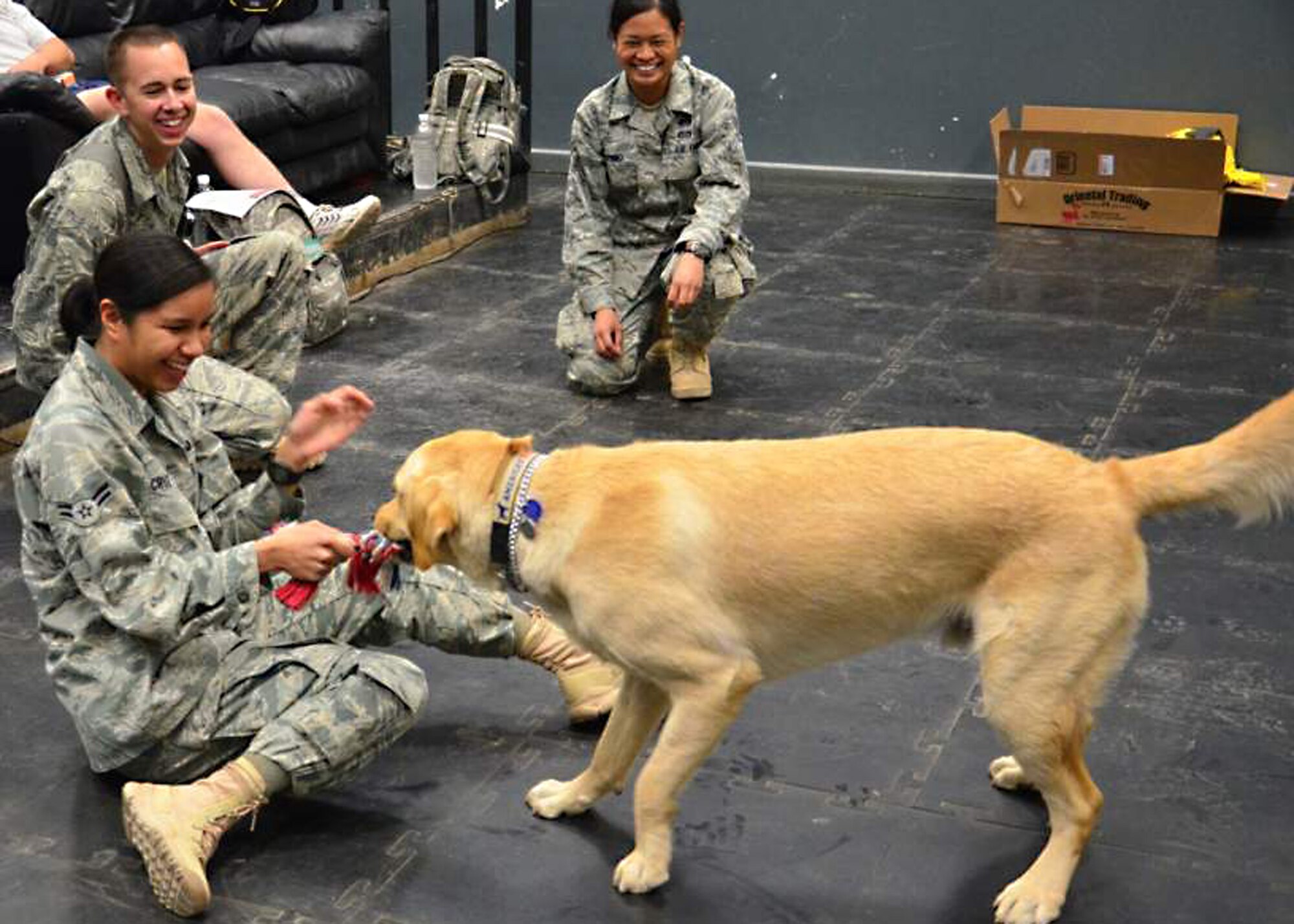 JOINT BASE BALAD, Iraq – Sgt. 1st Class Zach, 16-month old Labrador and Golden Retriever mix plays tug-a-war with Airman 1st Class Joni Cruz, 332nd Expeditionary Services Squadron food services journeyman, during a First Four Junior Enlist Council meeting, April 26. Zach is a combat stress dog deployed with the 98th Medical Combat Stress Control Detachment from Joint Base Lewis-McChord, Wash. (U.S. Air Force photo/ Senior Airman Roland Barleen) 