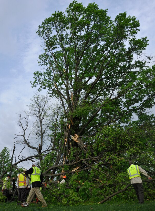 Landscapers from Denison Landscaping & Nursery, Inc. cut down a damaged tree near base housing that resulted from a severe storm April 28. The storm Wednesday night, was part of a group of storms that hit six states and killed more than 250 people. (U.S. Air Force photo by Senior Airman Melissa V. Brownstein)