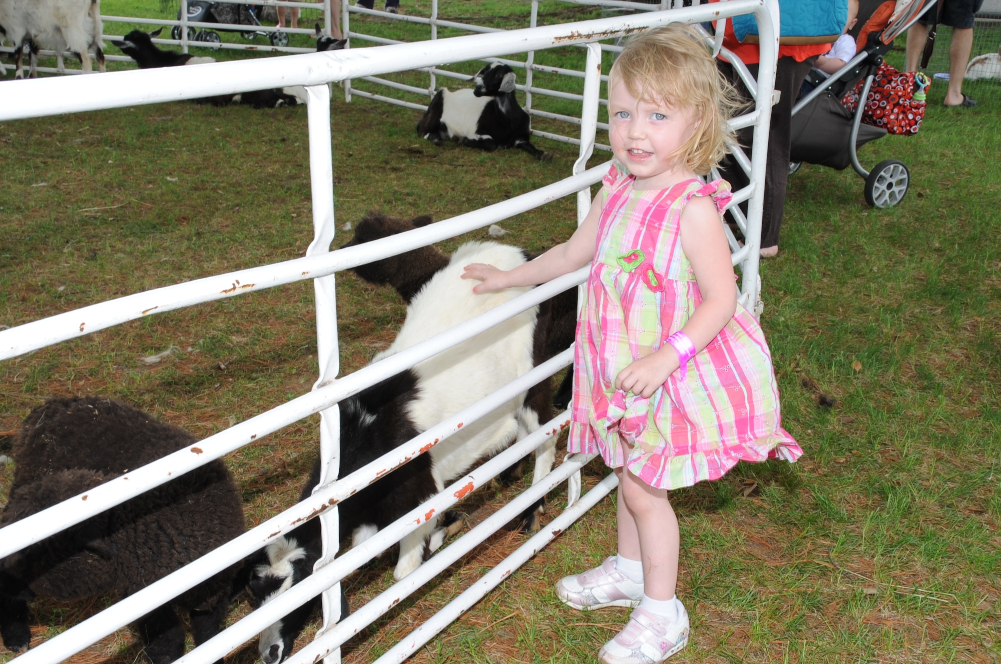 Alyssa Blaugher, 3, pets a baby goat during the Joint Base McGuire-Dix-Lakehurst Family Fun Fest, April 27. In addition to the indoor activities offered in the Griffith Field House, a petting zoo was available outdoors that featured sheep, goats, a camel, a porcupine, a rabbit, turtles and baby chicks. More than 1,000 members of the community attended this years’ fun fest. (U.S. Air Force photo by Pascual Flores/Released)