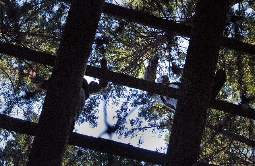 Tech. Sgt. Pablo Gonzalez, 647th Security Forces Squadron, completes obstacle #9, "The Tough One," during the 2011 Air Mobility Rodeo at Joint Base Lewis-McChord, Wash., July 28. Gonzalez is stationed at Joint Base Pearl Harbor-Hickam, Hawaii. (U.S. Air Force photo by Staff Sgt. Carolyn Herrick)