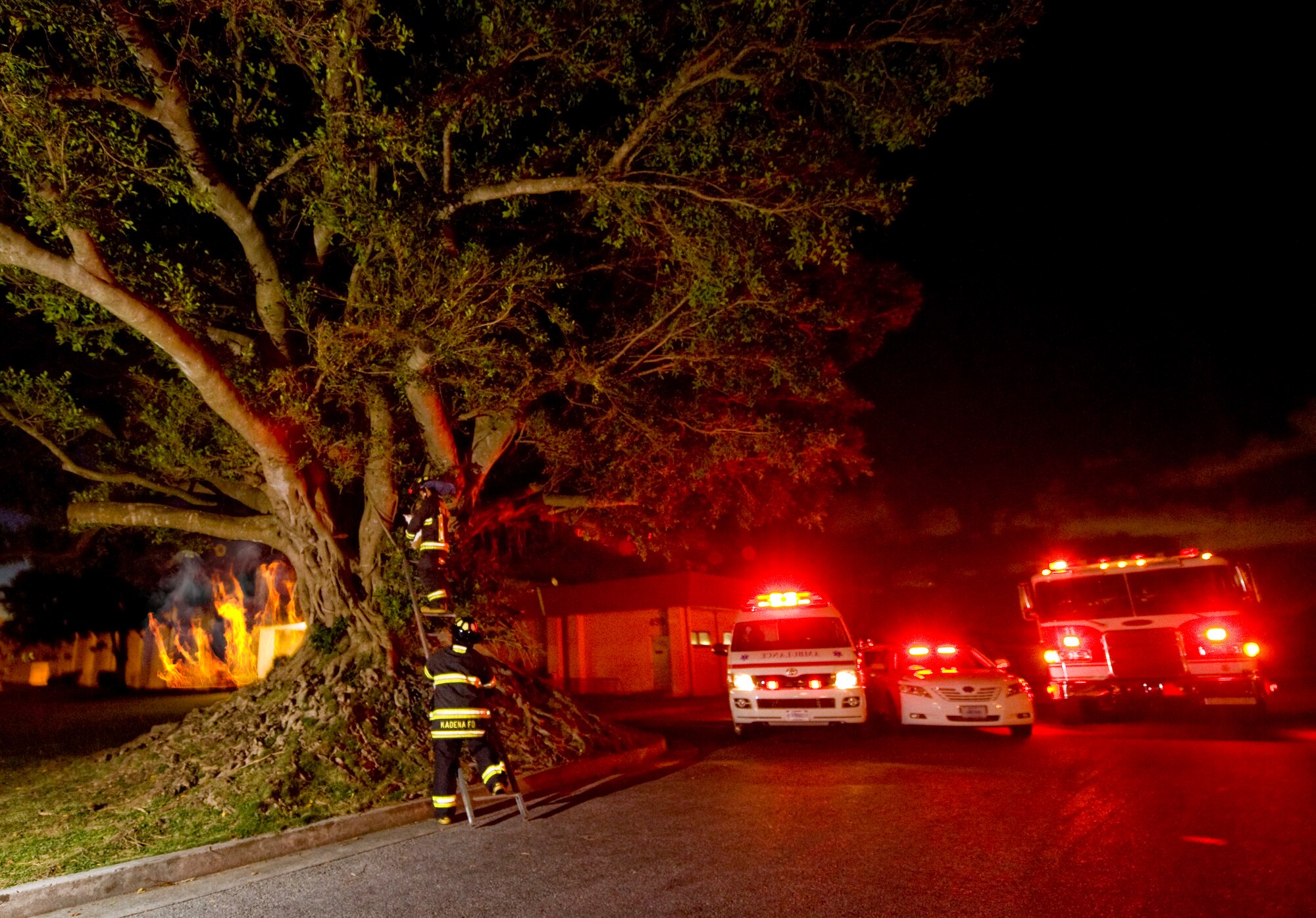 A building burns unnoticed while emergency personnel are preoccupied rescuing a cat from a tree. This dramatization illustrates how 911 calls for non-urgent situations could interfere with the ability to efficiently respond to real emergencies. (U.S. Air Force photo illustration/Tech. Sgt. Jason W. Edwards)