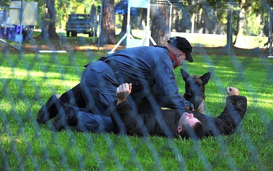 Lowndes County Sheriff Department Deputy Anthony Calett, supervisor of the K-9 unit, searches U.S. Air Force Tech. Sgt. Timothy Kaluza during a K-9 demonstration with the help of Sito for children participating in the Bring Your Child to Work Day at Moody Air Force Base, Ga., July 28, 2011. Sito not only helps capture suspects but is also used for patrols and narcotics searches. (U.S. Air Force photo by Senior Airman Stephanie Mancha/Released)