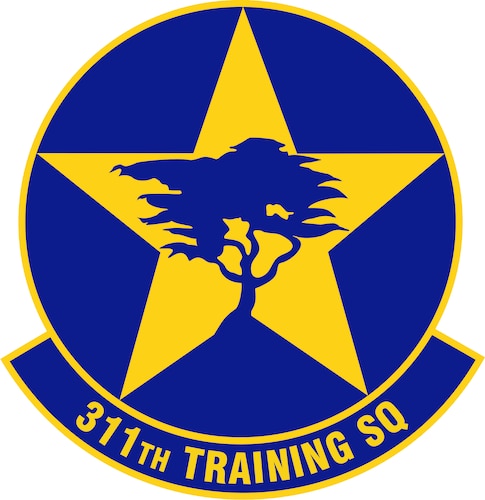 311th Training Squadron (U.S. Air Force graphic)