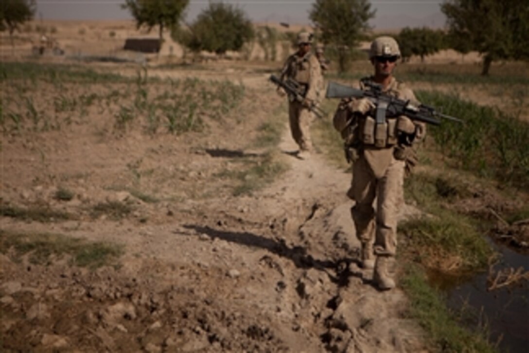U.S. Marine Corps Cpl. Robert Dominguez, a team leader with Regimental Combat Team 8, 3rd Platoon, Bravo Company, 1st Battalion, 5th Marine Regiment, walks between cornfields while conducting a security patrol in Sangin, Afghanistan, on July 22, 2011.  Marines conducted patrols to suppress enemy activity and gain Afghan trust.   