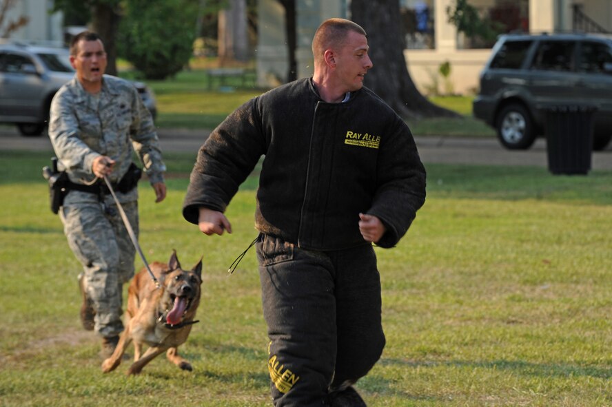 Senior Airman Andrew Phillips, 2nd Security Forces Squadron, runs away from Staff Sgt. Wesley Cox and military working dog Kuno during a K-9 demonstration for National Night Out on Barksdale Air Force Base, La., Aug. 2. Military working dogs train regularly to hone their skills and are capable of tracking, scouting, fighting, guarding and detection. (U.S. Air Force photo/Airman 1st Class Micaiah Anthony)(RELEASED)
