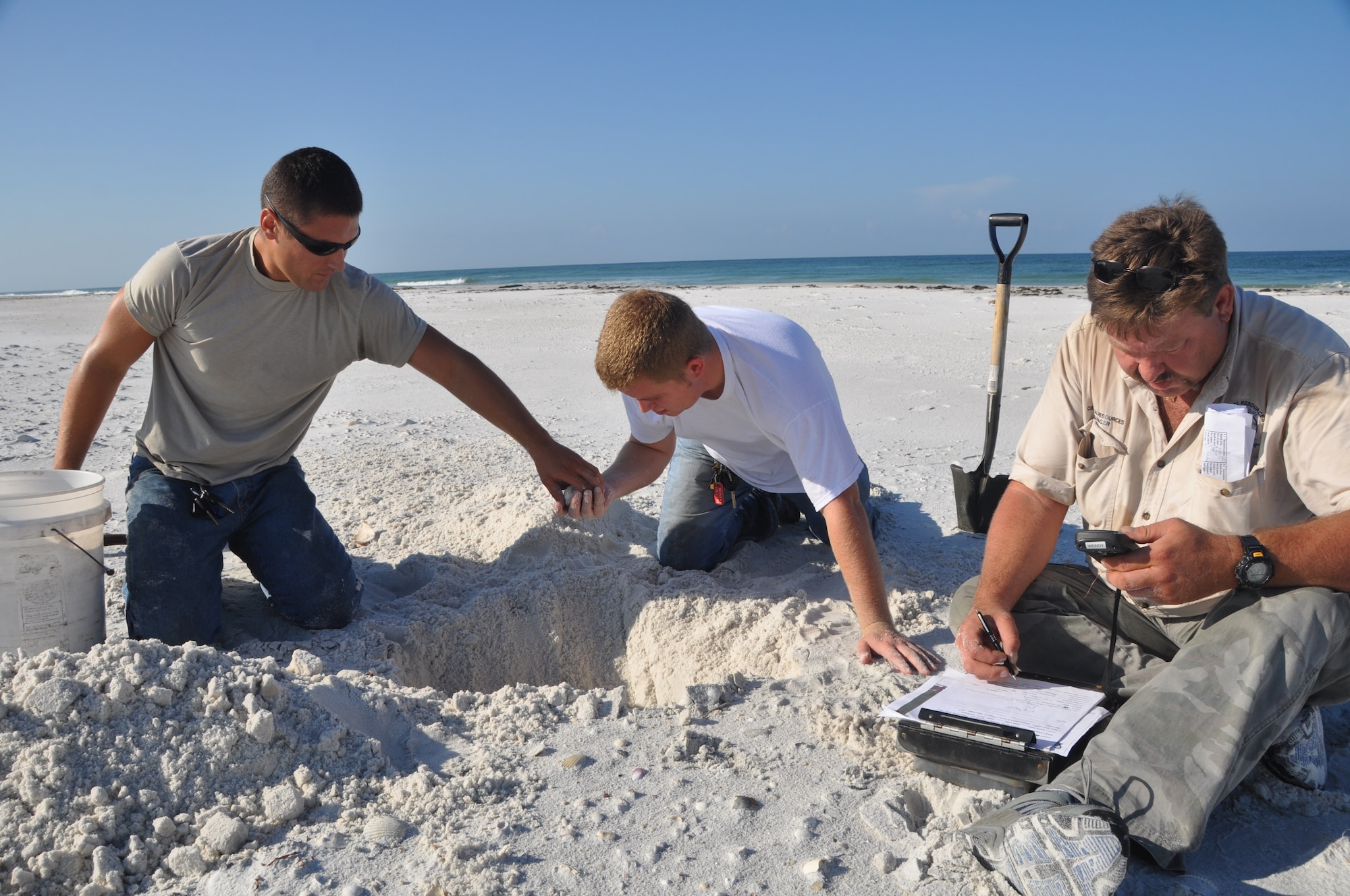 Senior Airman Jake Wagner and Airman 1st Class Steven Sanders, both 325th Civil Engineer Squadron Natural Resources members, relocate baby Loggerhead turtle eggs while David O’Brien, cultural resource manager, records data July 29 at Tyndall Beach.  The Natural Resources team rides 17 miles of shoreline daily to keep eyes on roughly 40 nests they are assisting this hatching season. (U.S. Air Force photo by Senior Airman Veronica McMahon)