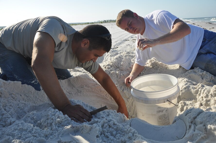Senior Airman Jake Wagner and Airman 1st Class Steven Sanders, both 325th Civil Engineer Squadron Natural Resources members, relocate roughly 90 Loggerhead turtle eggs July 29 on Tyndall Beaches. The Natural Resources team rides 17 miles of shoreline daily to keep eyes on roughly 40 nests they are assisting this hatching season. (U.S. Air Force photo by Senior Airman Veronica McMahon) 
