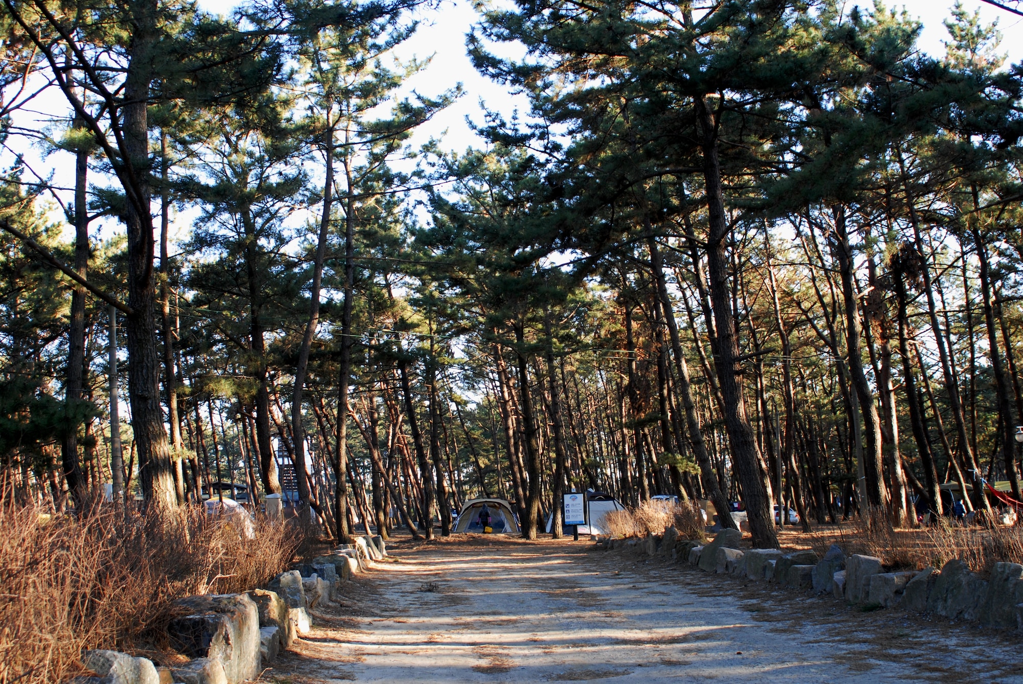This campground is just a few hundred yards from Mongsanpo Beach in Taeanhaean National Park, Republic of Korea. (U.S. Air Force photo/Staff Sgt. Eric Burks)