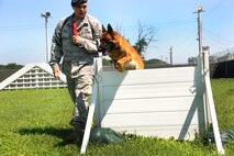 KUNSAN AIR BASE, Republic of Korea -- Staff Sgt. Chad Ditch, 8th Security Forces Squadron K-9 handler, runs his Military Working Dog Bbruiser through an obstacle course here Aug 5. Sergeant Ditch and members of the 8th Security Forces Squadron K-9 unit train and work side-by-side with K-9s as part of their duties. (U.S. Air Force photo/Staff Sgt. Rasheen Douglas)