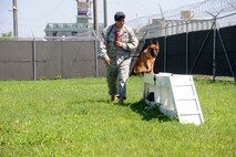 KUNSAN AIR BASE, Republic of Korea -- Staff Sgt. Chad Ditch, 8th Security Forces Squadron K-9 handler, runs his Military Working Dog Bbruiser through an obstacle course here Aug 5. Sergeant Ditch and members of the 8th Security Forces Squadron K-9 unit train and work side-by-side with K-9s as part of their duties. (U.S. Air Force photo/Staff Sgt. Rasheen Douglas)