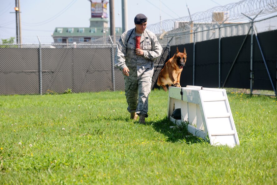 KUNSAN AIR BASE, Republic of Korea -- Staff Sgt. Chad Ditch, 8th Security Forces Squadron K-9 handler, runs his Military Working Dog Bbruiser through an obstacle course here Aug 5. Sergeant Ditch and members of the 8th Security Forces Squadron K-9 unit train and work side-by-side with K-9s as part of their duties. (U.S. Air Force photo/Staff Sgt. Rasheen Douglas)