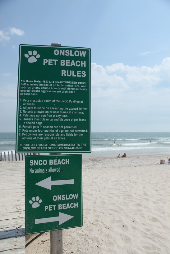 Since 2008, Onslow Beach, aboard Marine Corps Base Camp Lejeune, has made official accommodations for families and their pets in some of the beach lodging units. However, Base Order Base 10570.1D states all the rules and regulations beachgoers have to follow in order to have an enjoyable vacation with their family, which includes their pets.