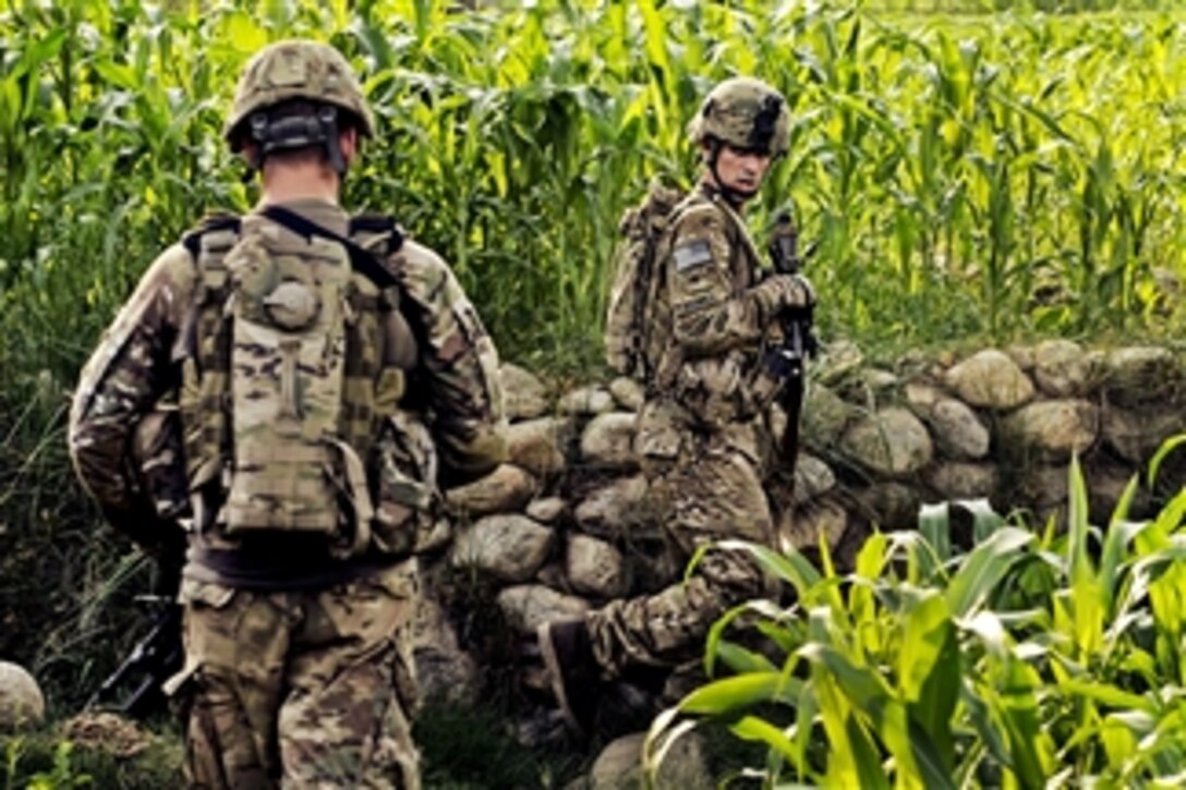 U.S. Army Spcs. Kyle Graves (right) and Michael Bartolo navigate through rice paddies and corn fields while on a combat patrol to sweep for roadside bomb triggermen in the Alingar district in Afghanistan's Laghman province, on Aug. 7, 2011.  Graves is a grenadier and Bartolo is a rifleman assigned to the Laghman Provincial Reconstruction Team, which serves as a quick reaction force.  