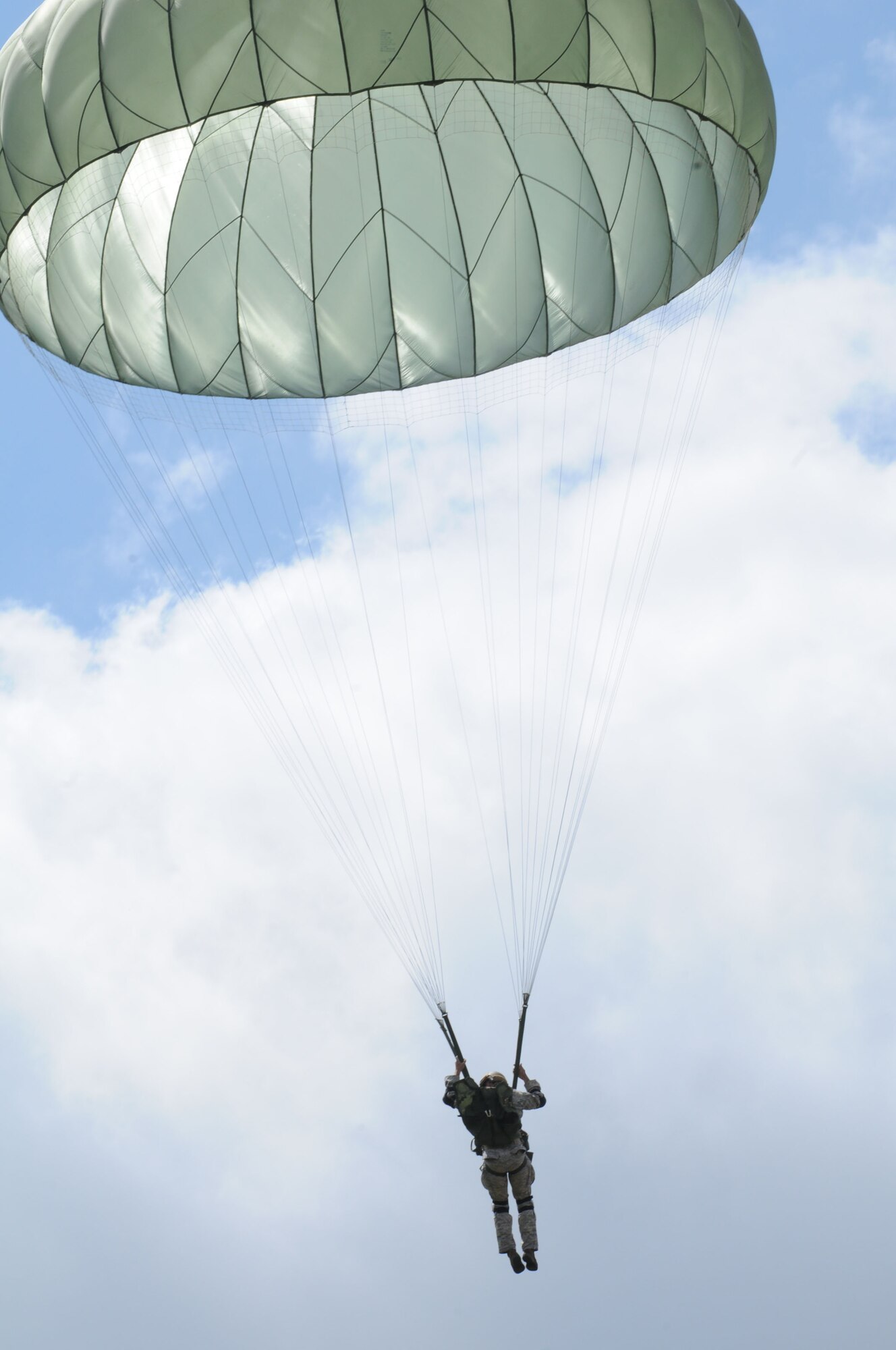 A U.S. military member parachutes from a C-17 Globemaster III, over a drop zone during International Jump Week, Aug. 10, 2011 in Marnheim, Germany. Six NATO countries participated in the annual event to support one of U.S. Air Forces in Europe's top priorities; building partnership capacity. More than 200 U.S. and NATO servicememebers participated in the week-long training. (U.S. Air Force photo by Airman 1st Class Kendra Alba)