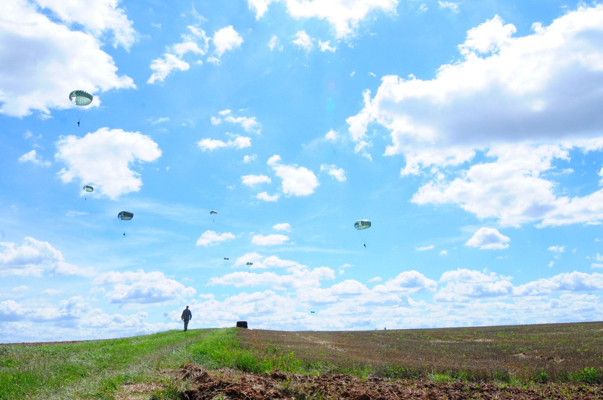 U.S. military members along with service members from five other NATO countries parachute off a C-130 Hercules over a drop zone during International Jump Week in Marnheim, Germany, Aug. 10, 2011. Six NATO countries participated in the annual event to support one of United States Air Forces in Europe's top priorities; building partnership capacity. More than 200 U.S. and NATO jumpers participated in the week-long training. (U.S. Air Force photo by Airman 1st Class Kendra Alba)