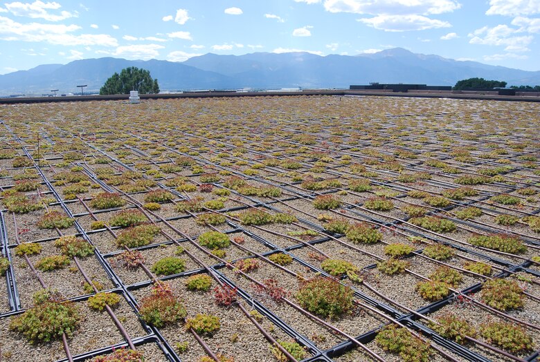 About 2,100 trays of sedum, a regional high desert plant, cover most of the 21st Space Wing Headquarters building roof. It was selected because of its drought resistance. The green roof, installed in 2007, is designed to reduce energy consumption and rainwater runoff, and extend the life of the roof, ultimately saving taxpayer dollars. (U.S. Air Force photo/Lea Johnson)