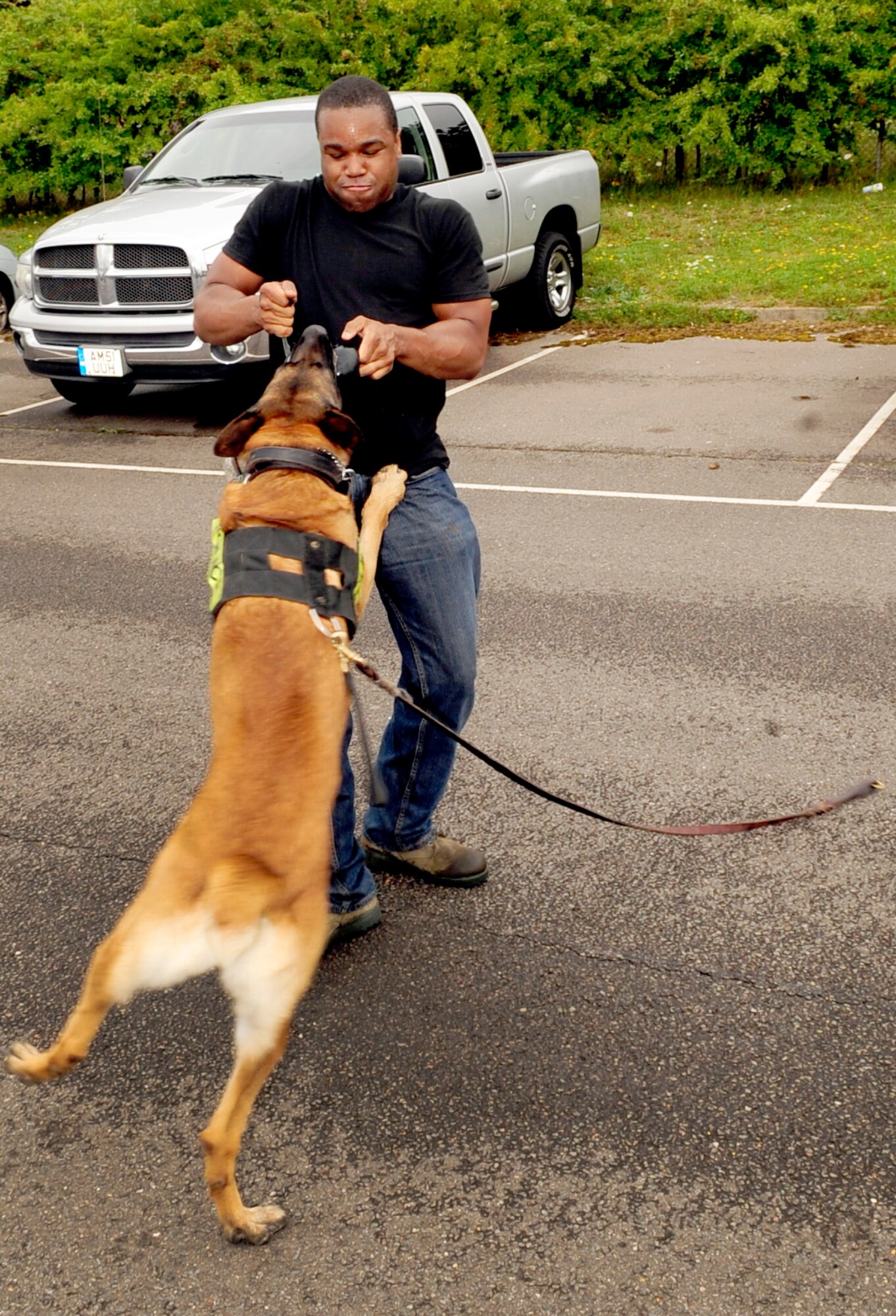 RAF MILDENHALL, England – Staff Sgt. Billy Lofton, 100th Security Forces Squadron military working dog handler, plays with MWD Ootto after he successfully found contraband during a training exercise here Aug. 12, 2011. After a successful find, the MWD receives affection from his handler. (U.S. Air Force photo/Senior Airman Ethan Morgan)