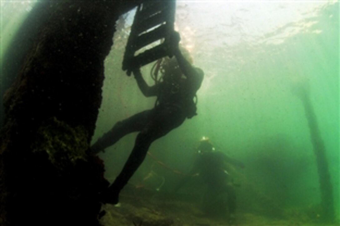 Jamaican Coast Guard Defense Force Diver Able Body Seaman Larson Higgins climbs a ladder after a dive with U.S. Navy Mobile Diving and Salvage Unit 2 in Port Royal, Jamaica, Aug. 4, 2011. The unit is participating in a multinational partnership engagement to increase interoperability and partner nation capacity through diving operations.