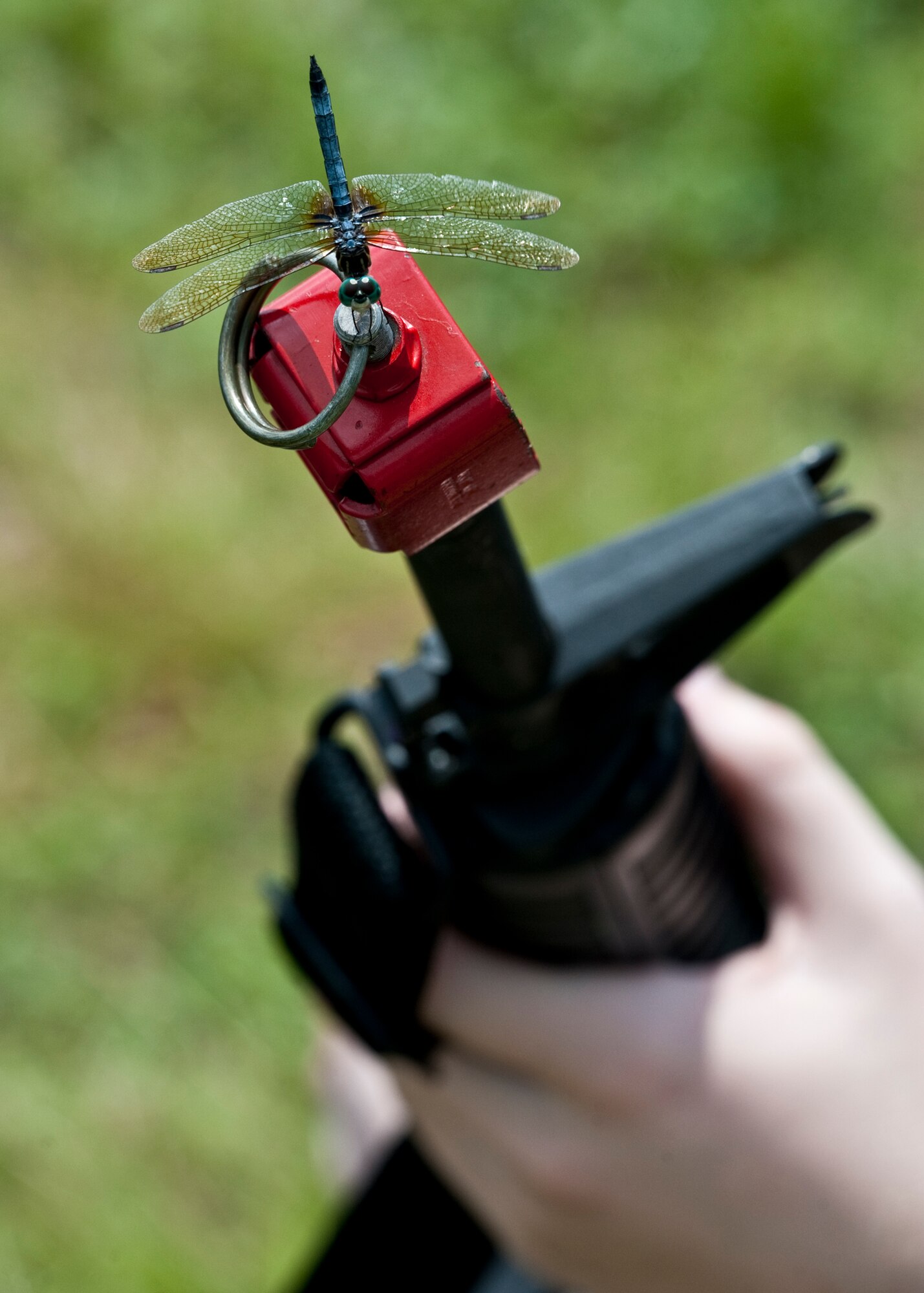 A dragonfly lands on top of the M-16 of an Airman participating in the Phase II exercise Aug. 10 at Eglin Air Force Base, Fla.  Dragonflies swarmed around the readiness exercise area throughout the day.  Eglin Entomology believes the abundance of the flying dragons is due to weather and the amount flying insects that it brings such as mosquitoes and gnats.  (U.S. Air Force photo/Samuel King Jr.)