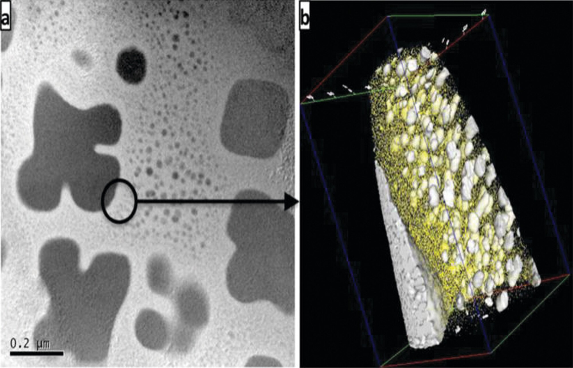 An example of coupling of energy-filtered transition electron microscope, or TEM (Figure 1a) with atom probe tomography (Figure 1b) to  investigate different generations of gamma prime precipitates, at multiple length scales, in the nickel base superalloy, Rene 88, used in turbine disk applications.  Figure 2a shows coupling of high-resolution TEM (a) with atom probe tomography (b and c) to study the atomic scale structure and composition of nanoscale omega precipitates in a titanium-molybdenum alloy.  (AFRL Image)