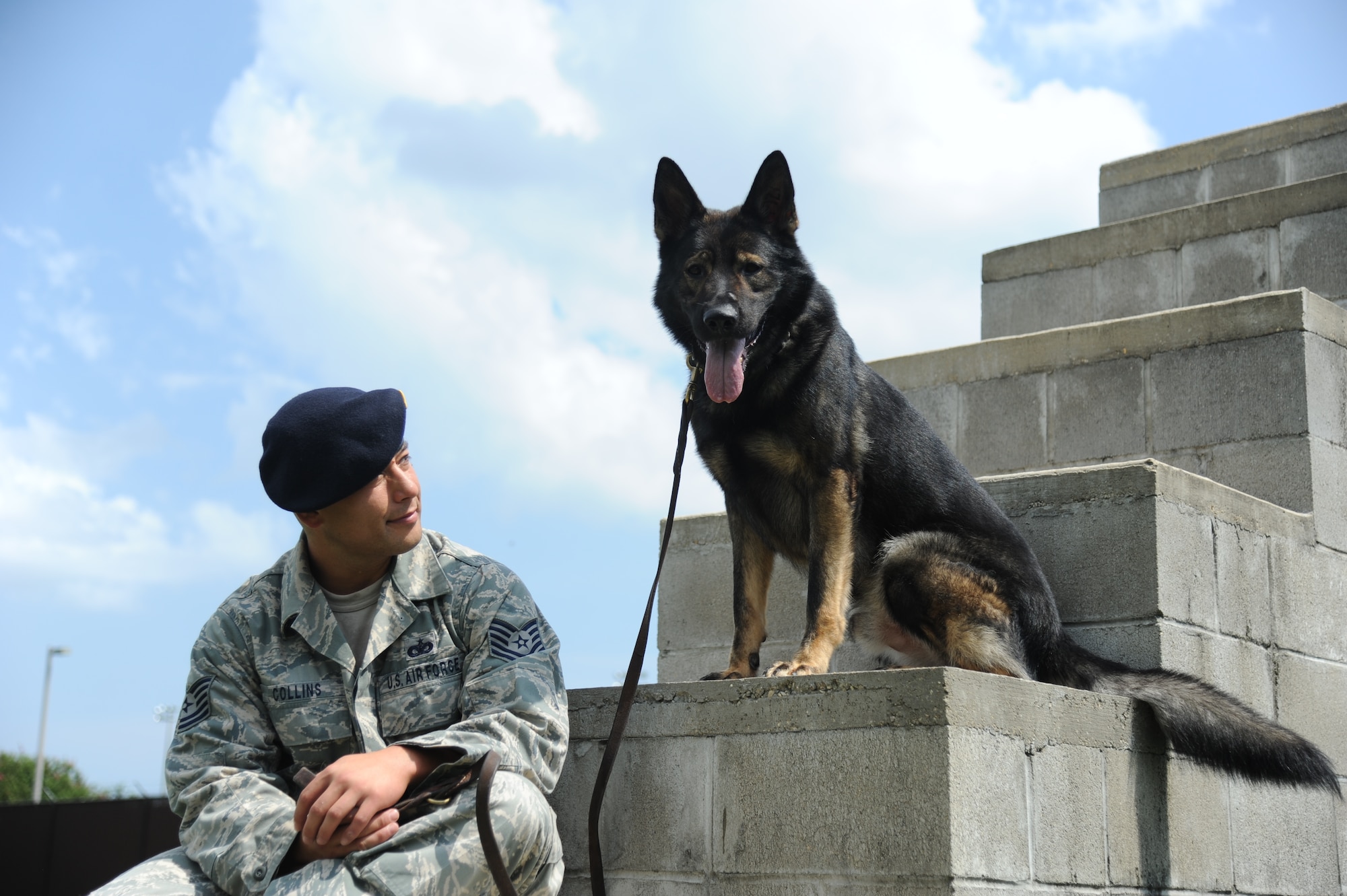 Tech. Sgt. Benjamin Collins, 81st Security Forces Squadron military working dog trainer, and his German shepherd partner, Bady, pause on a training obstacle at Keesler's kennel Aug. 11. Bady is one of Keesler's detection and patrol trained MWDs used to ensure the safety and security of the base.  (U.S. Air Force photo by Airman 1st Class Heather Heiney)