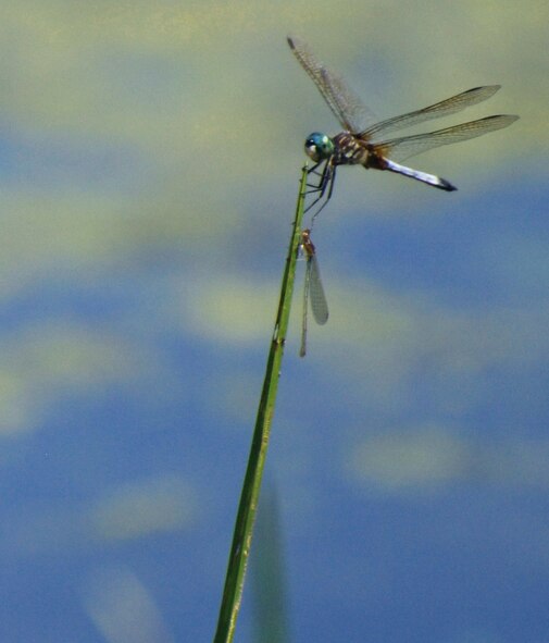 Natural wonders found at Wade Lake.(US Air Force photo/SrA Kelly Galloway)