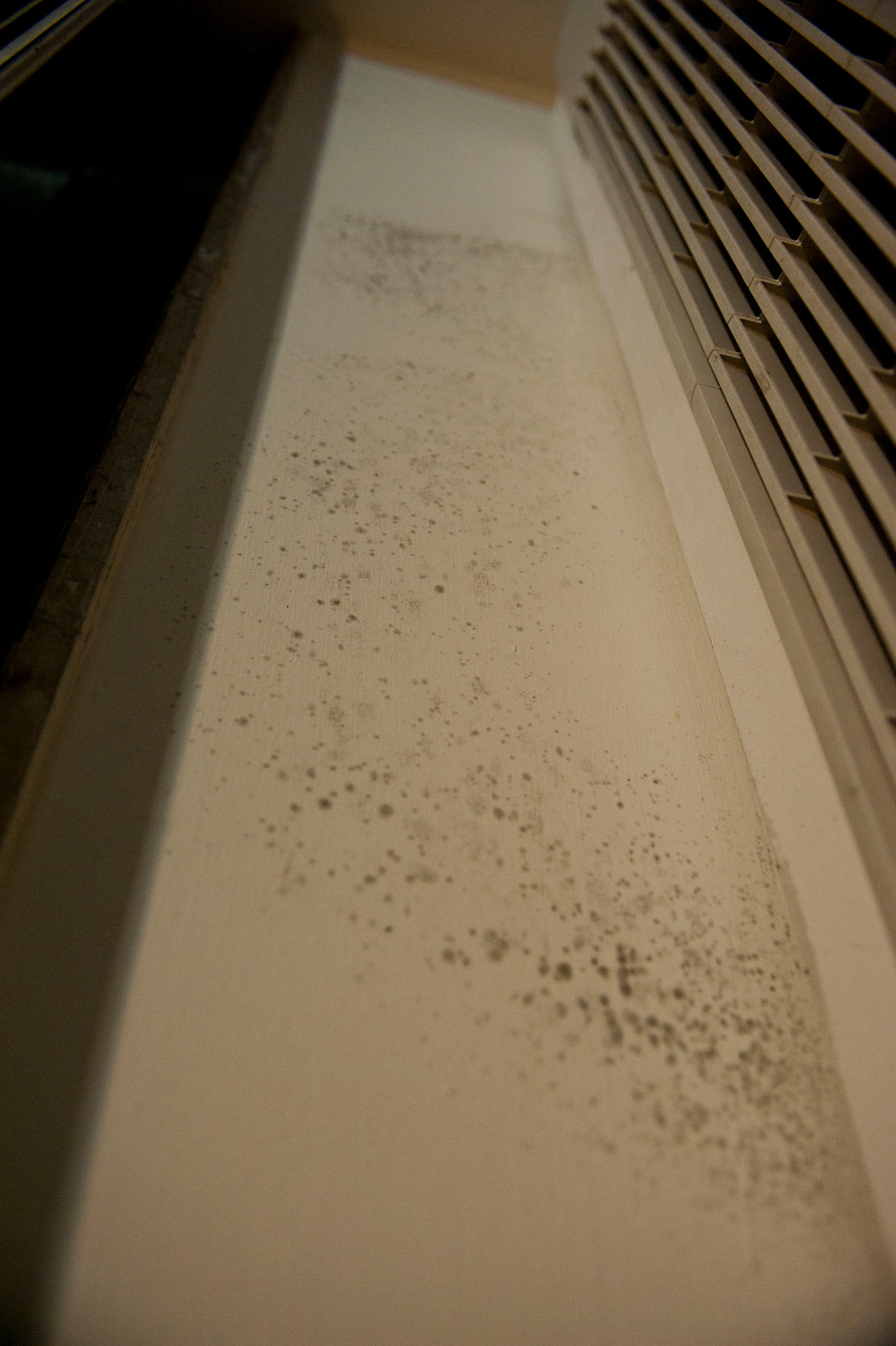 Mold grows behind an air conditioning unit in a dorm room on Incirlik Air Base, Turkey. Mold problems can be prevented in the dormitories and base housing by conducting regular checks, properly ventilating areas and immediately removing mold.(U.S. Air Force photo by Airman 1st Class Clayton Lenhardt/Released)