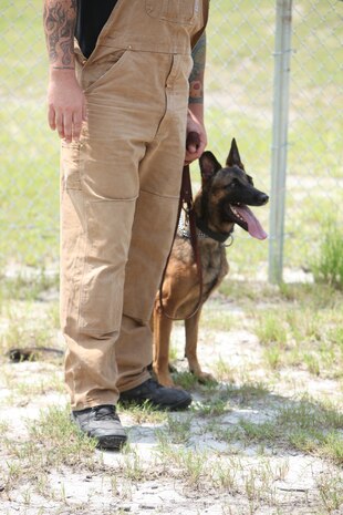 Marine Corps Civilian Law Enforcement Officer Clayton Albright, a military working dog handler, and his dog Speedy, take a break after conducting training at the Provost Marshal’s Office dog kennels, aboard Marine Corps Base Camp Lejeune, recently.