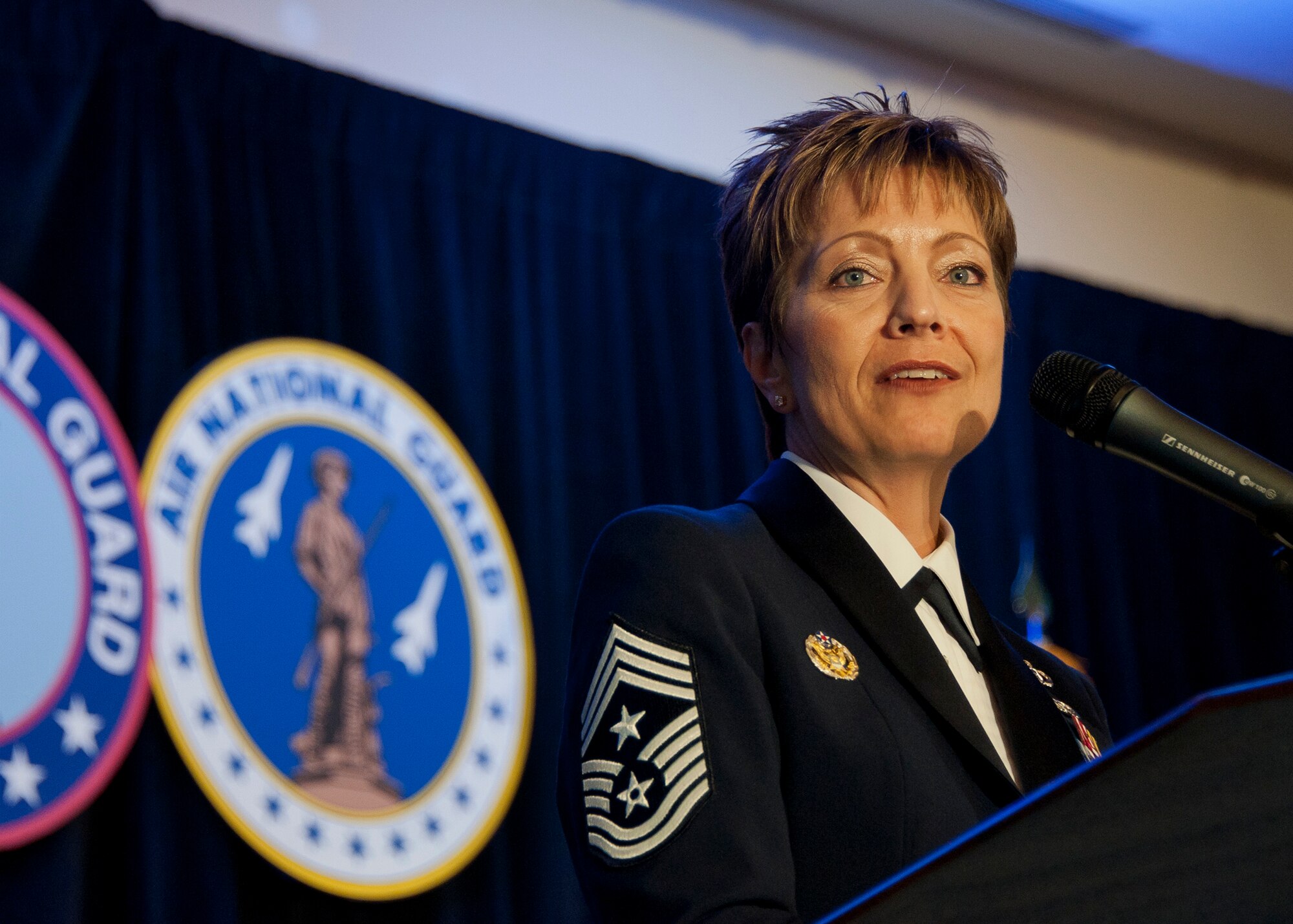 Chief Master Sergeant Denise M. Jelinski-Hall, Senior Enlisted Leader for the National Guard Bureau addresses the crowd at the National Soldiers and Airmen of the Year banquet at the Renaissance Arlington Capital View Hotel, Arlington, Virginia. The banquet recognizes those winners for the outstanding work and for the year and for winning the award. (US Air Force photo by MSgt Marvin Preston, 169th FW/PA)
