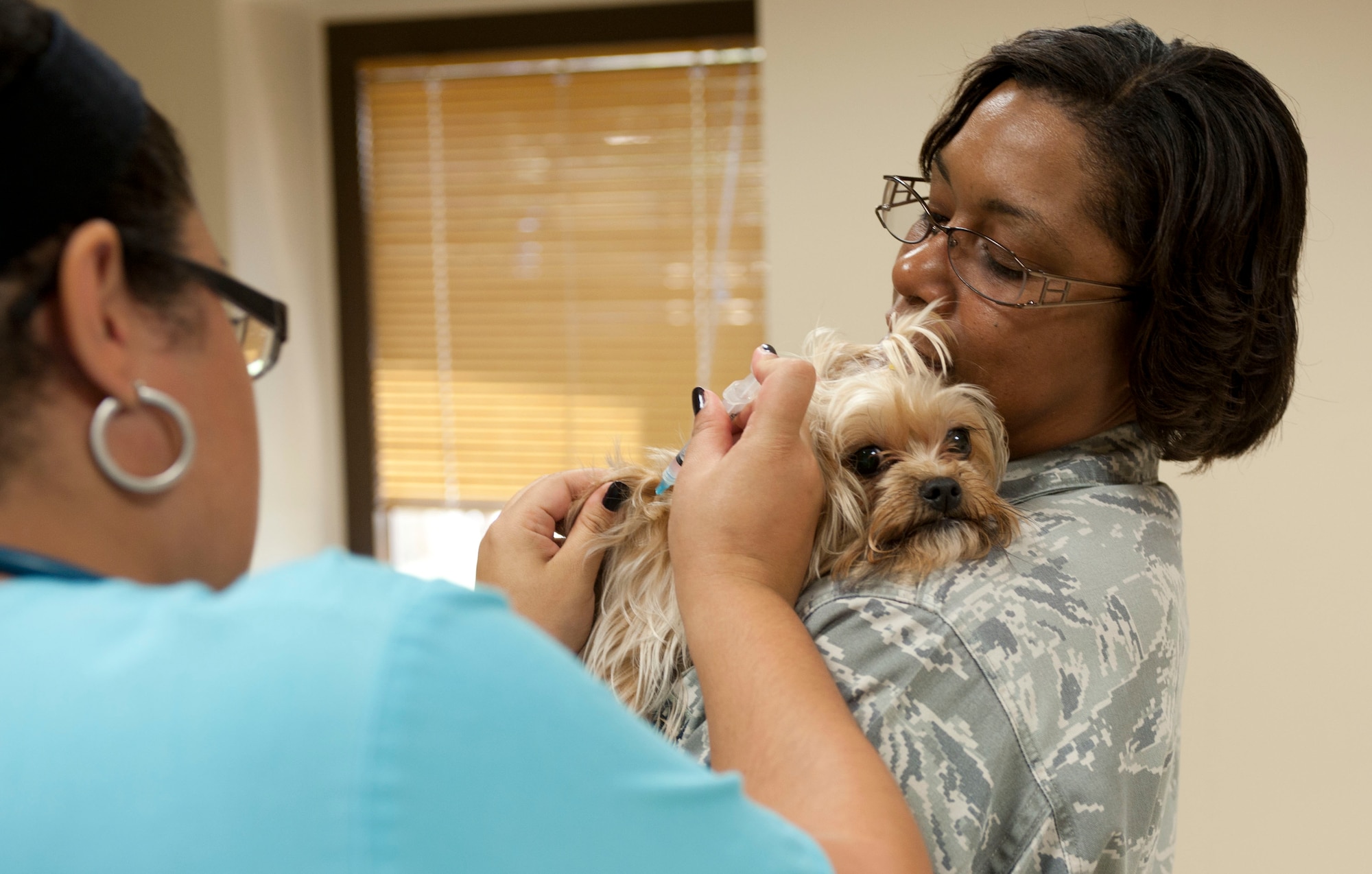 Master Sgt. Danielle Pier, 39th Logistics Readiness Squadron, holds her dog, Sheba, while Karen Ramos, 39th Force Support Squadron animal health technician, administers a shot at the veterinary clinic Aug. 18, 2011, at Incirlik Air Base, Turkey.(U.S. Air Force photo by Airman 1st Class Clayton Lenhardt/Released)