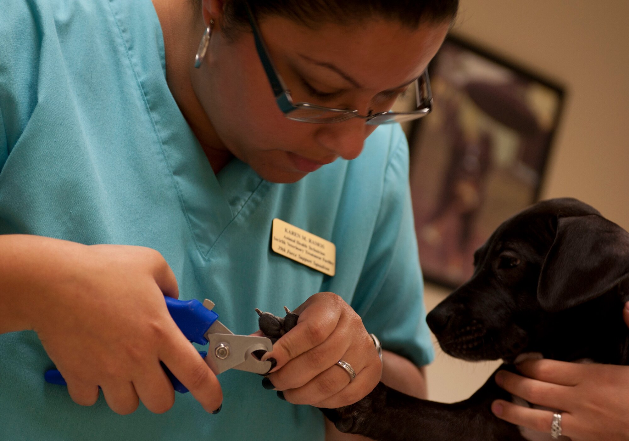 Karen Ramos, 39th Force Support Squadron animal health technician, clips the nails of Chloe, the dog of Airman 1st Class Jordan Capela, 39th Security Forces Squadron, and his wife, Brooklyn, at the veterinary clinic Aug. 18, 2011, at Incirlik Air Base, Turkey.(U.S. Air Force photo by Airman 1st Class Clayton Lenhardt/Released)