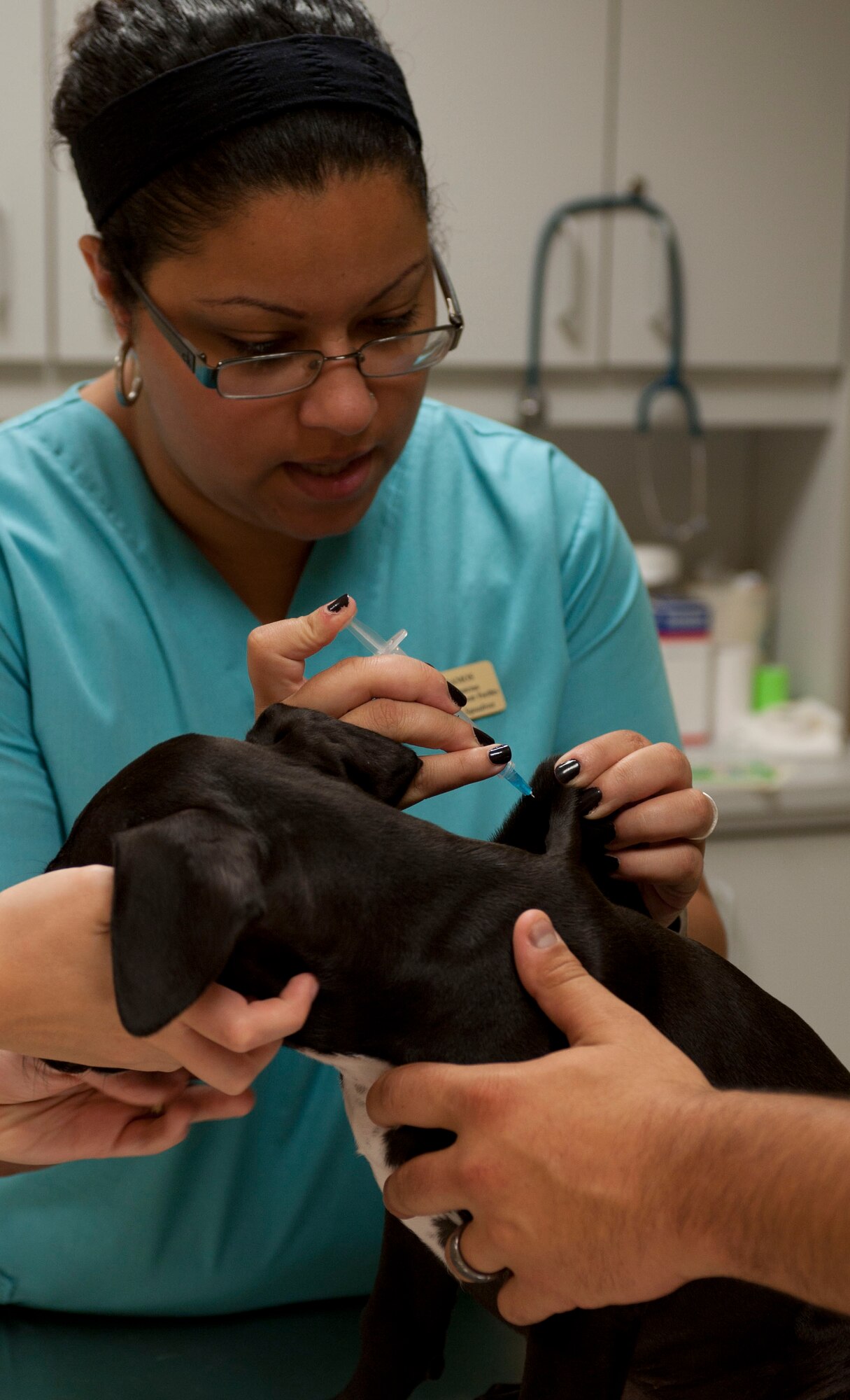 Karen Ramos, 39th Force Support Squadron animal health technician, administers a shot to Chloe, the dog of Airman 1st Class Jordan Capela, 39th Security Forces Squadron, and his wife, Brooklyn, at the veterinary clinic Aug. 18, 2011, at Incirlik Air Base, Turkey.(U.S. Air Force photo by Airman 1st Class Clayton Lenhardt/Released)