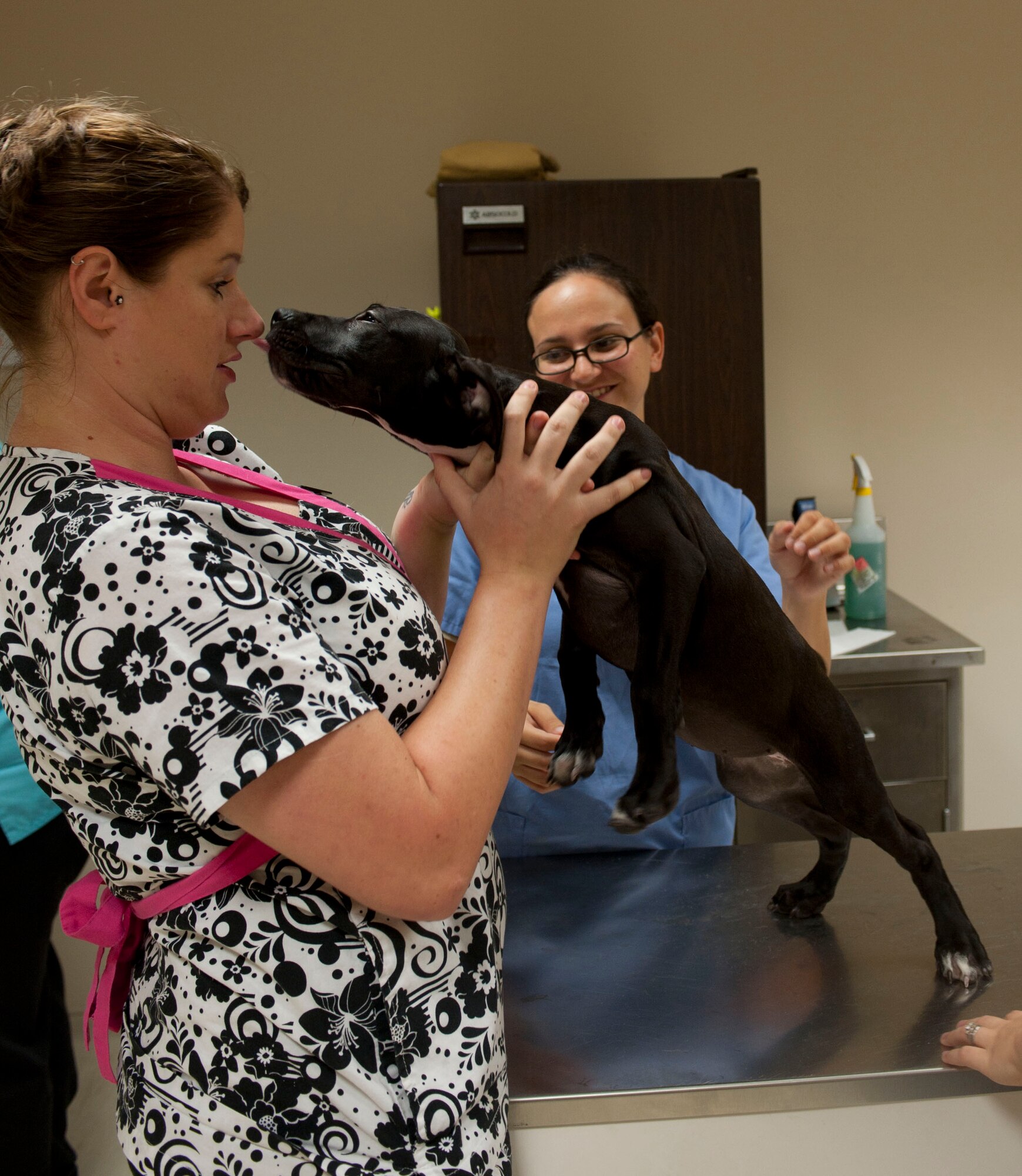 Stacey Ball, 39th Force Support Squadron animal health technician, gets some surprise affection from Chloe, the dog of Airman 1st Class Jordan Capela, 39th Security Forces Squadron, and his wife, Brooklyn, at the veterinary clinic Aug. 18, 2011, at Incirlik Air Base, Turkey.(U.S. Air Force photo by Airman 1st Class Clayton Lenhardt/Released)