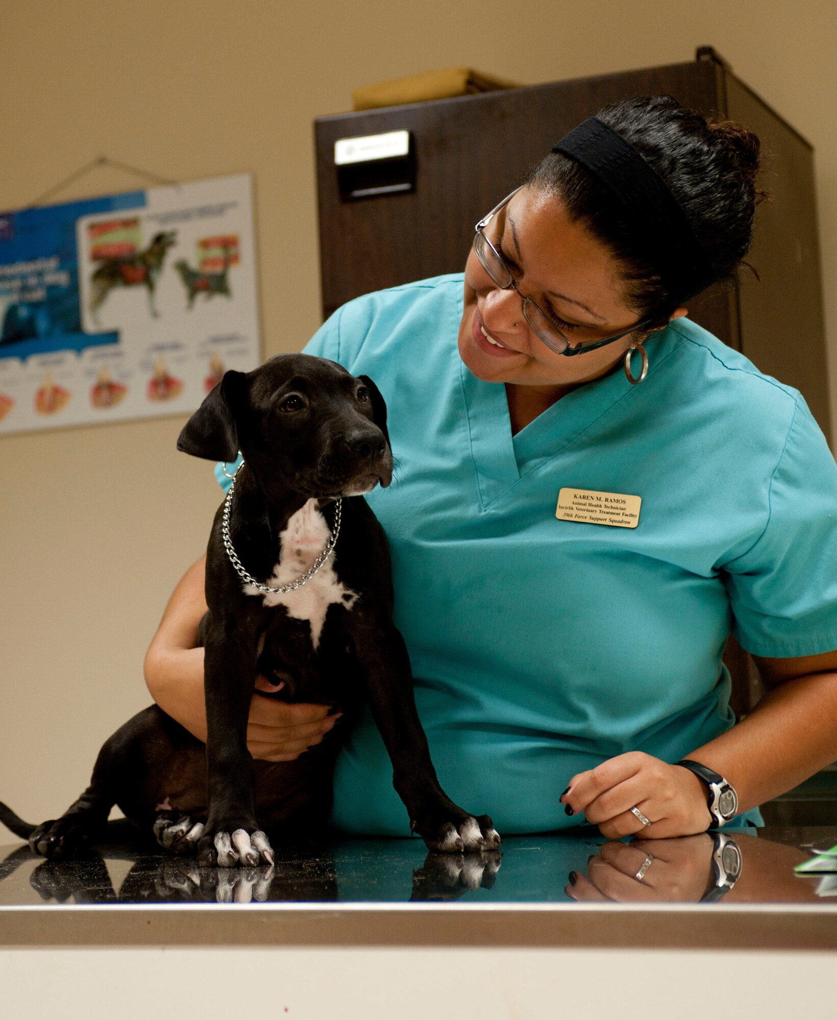 Karen Ramos, 39th Force Support Squadron animal health technician, greets Airman 1st Class Jordan Capela, 39th Security Forces Squadron, and his wife, Brooklyn's, dog Chloe during a health checkup at the veterinary clinic Aug. 18, 2011, at Incirlik Air Base, Turkey.(U.S. Air Force photo by Airman 1st Class Clayton Lenhardt/Released)