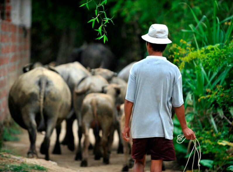 In support of Engineering Civic Action Program (ENCAP) Operation Pacific Unity 11-4, U.S. Navy Seabees from Naval Mobile Construction Battalion 133, Gulfport, Miss., and U.S. Air Force Reserve Prime BEEF Airmen from the 624th Civil Engineer Squadron, Joint Base Pearl Harbor-Hickam, Hawaii, make improvements to three Vietnamese medical clinics in Ha Tinh Province, Vietnam on August 17th. The operation includes more than 60 U.S. and Vietnamese service members, local contractors and support personnel, and showcases the potential of Total Force Integration and multinational interoperability. (U.S. Air Force photo/Master Sgt. John Herrick)(Released).