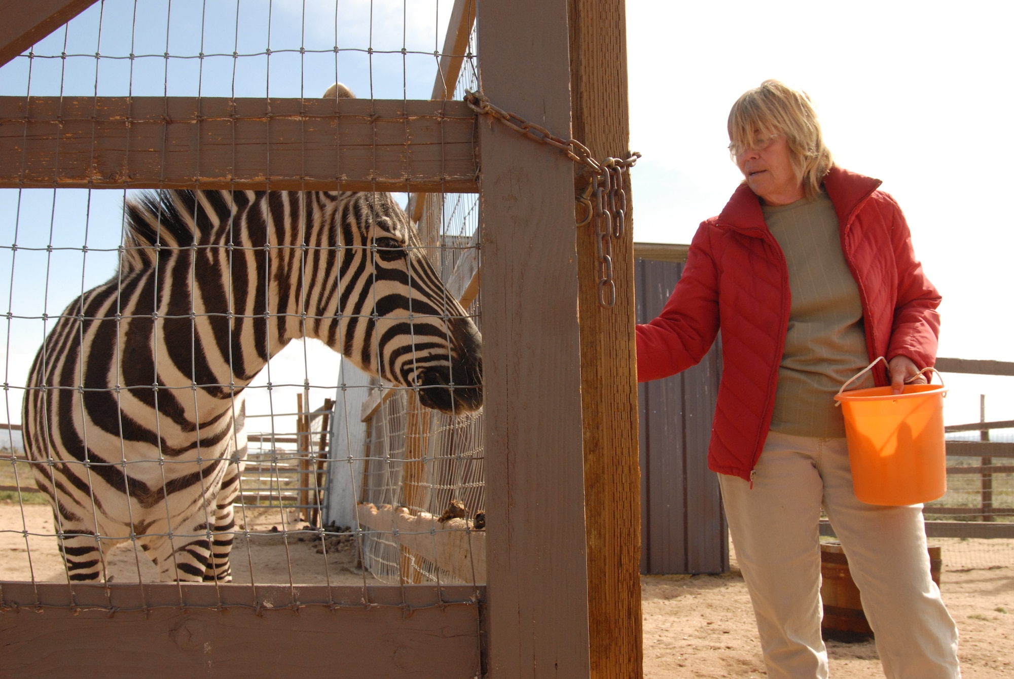 Zack the Zebra gets some love during feeding time from Diana Frieling, president of the Animal Education Center and head animal keeper, at Windswept Ranch on Tehachapi Willow Springs Road. The AEC is home to 158 animals and has recently started offering public tours on Saturdays from March through October. (Air Force photo by Kenji Thuloweit)