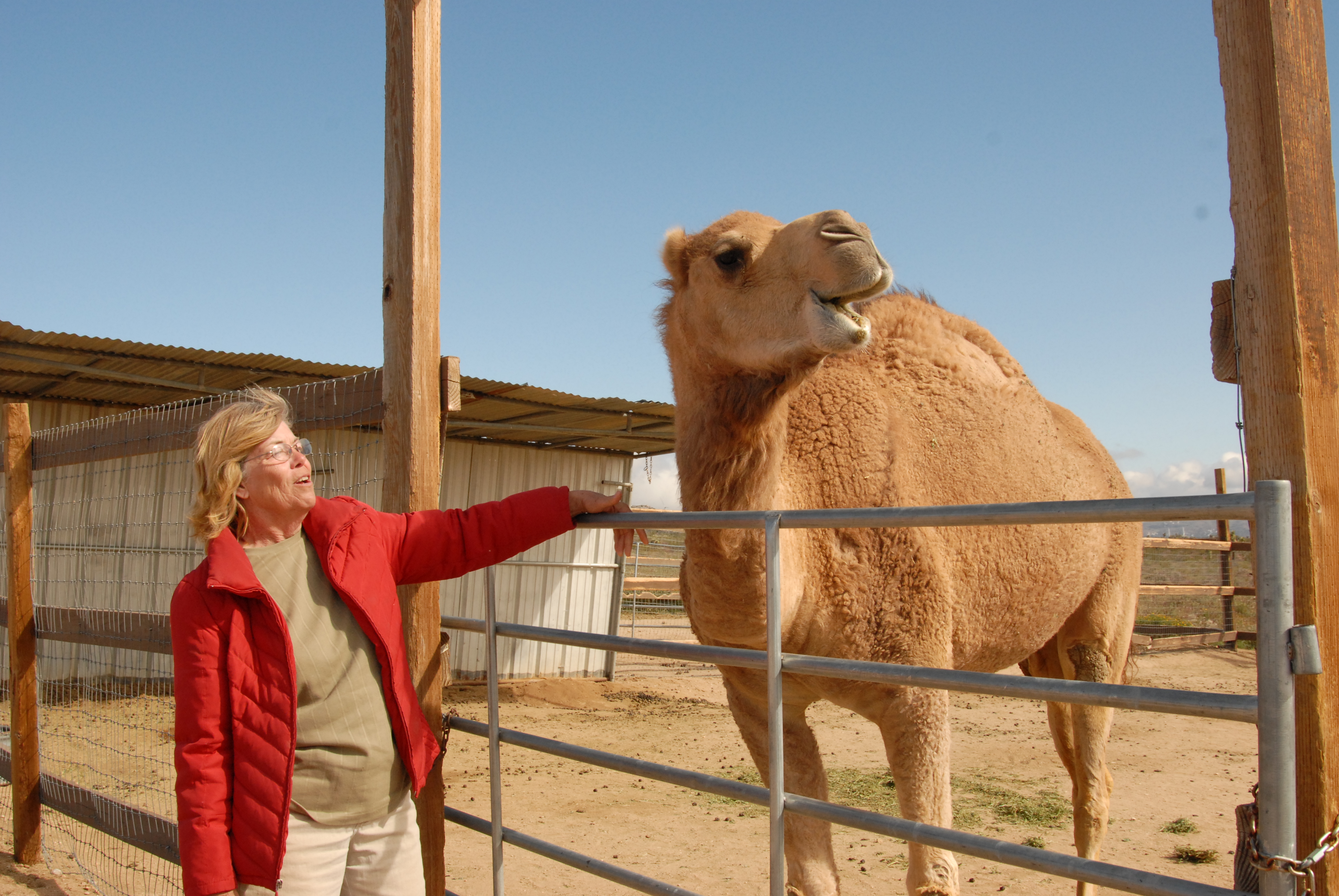 There is a lot to see at the AEC - exotic animals at local ...