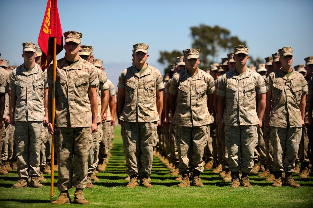 Marines assigned to the Defense Language Institute Foreign Language School and Presidio of Monterey, Calif., stand at attention during Defense Secretary Leon E. Panetta's visit, Aug. 23, 2011.