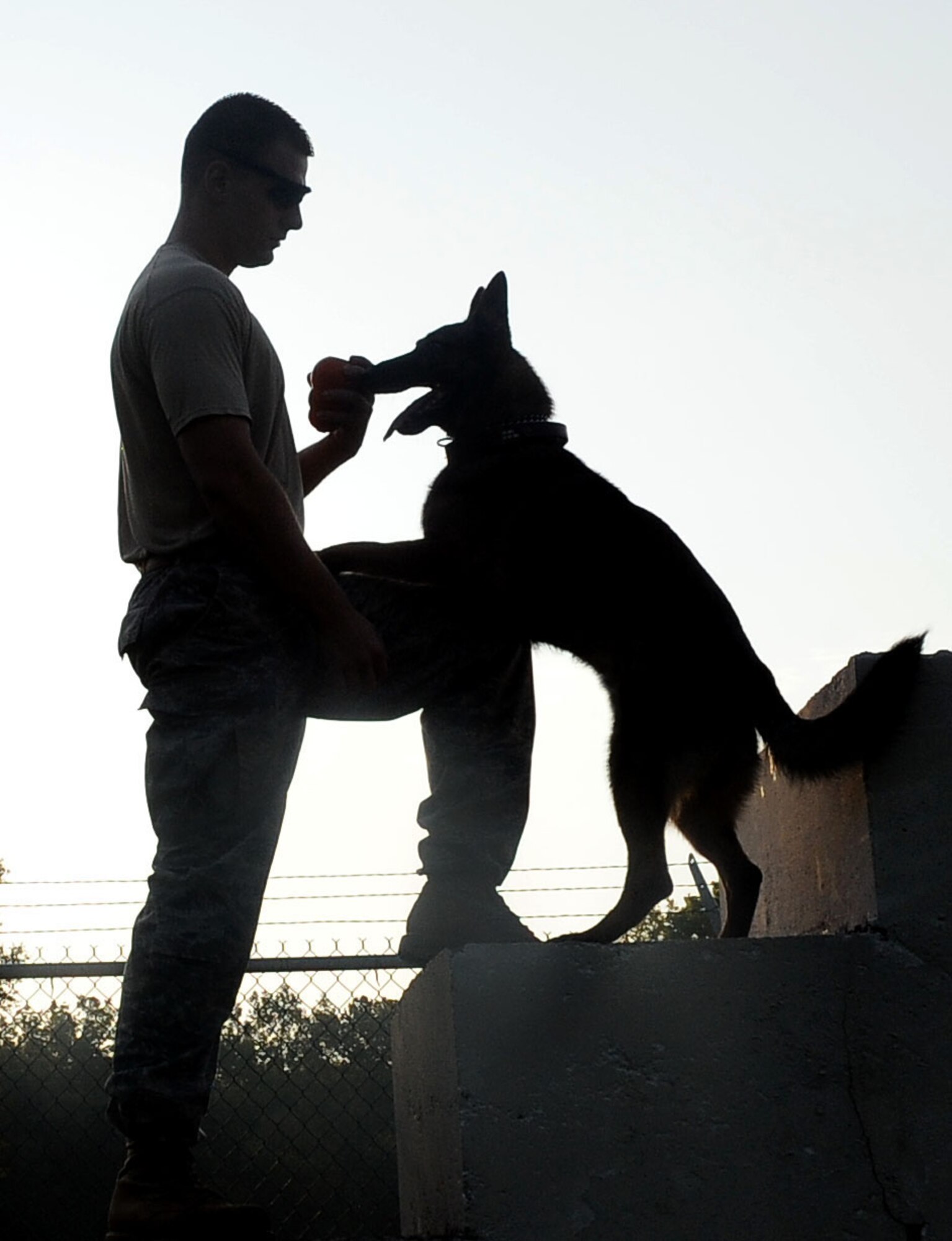 Senior Airman Andrew Phillips, 2nd Security Forces Squadron Military Working Dog handler, takes a moment in the early morning to play with his canine, Rico, on Barksdale Air Force Base, La., Aug. 24. Phillips and Rico are preparing for a deployment and generally train together in the early morning to beat the heat of Barksdale's summer months. (U.S. Air Force photo/Senior Airman Amber Ashcraft) (RELEASED)