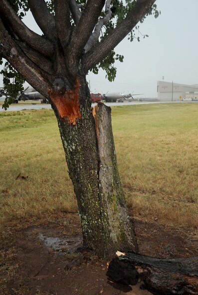 During a storm that hit Barksdale Air Force Base, La., lightning struck a tree located near the Eighth Air Force Museum Aug. 24. Though the rain was much needed, the storm brought the danger of lightning and tornados to the area. (U.S. Air Force photo/Senior Airman Amber Ashcraft) (RELEASED)