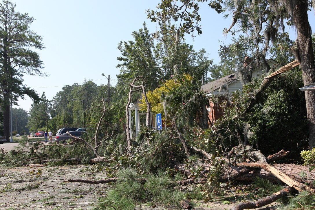 Hurricane Irene knocked down several trees at Marine Corps Base Camp Lejeune Visitors Center Aug.  27.