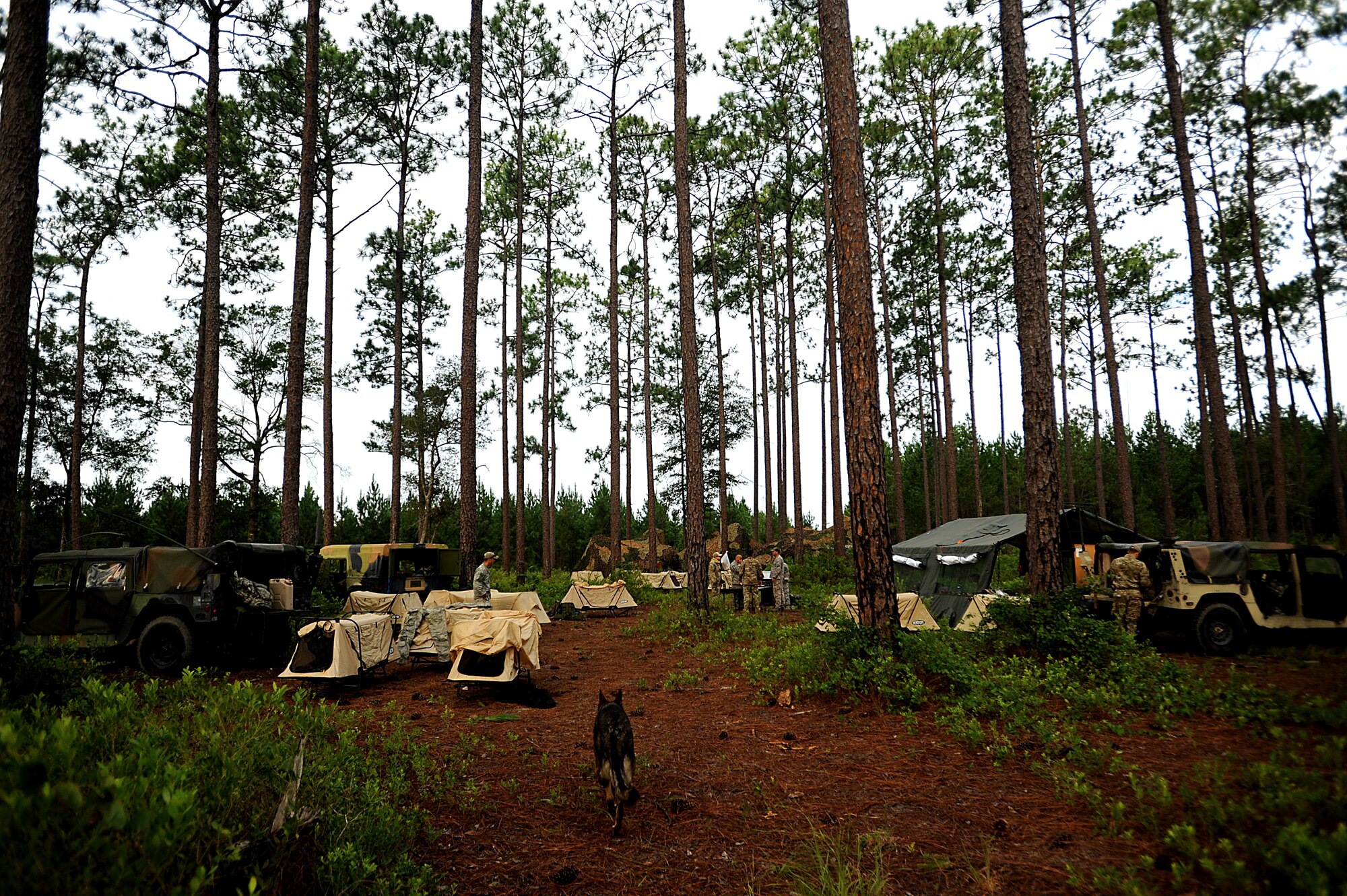 Tactical Air Control Party (TACP)  Airmen attached to the 165th Air Support Operations Squadron, set up a Forward Operating Base on August 16, 2011 at Townsend Range during a three day field exercise in Brunswick, GA. 
The exercise is the final phase of their 45 day training class "Project 175" where they will bring everything they have learned throughout the course and apply it to this scenario earning them their five level. During exercises, contingencies, or actual war, the Air Support Operations mission is to provide meteorological support and deploy with, advise, and assist the ground force commander in planning, requesting, coordinating and controlling close air support, tactical air reconnaissance, and tactical airlift.