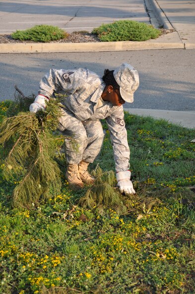 Staff Sgt. Frances Prince picks up branches on Seymour Johnson Air Force Base, N.C., Aug. 29, 2011. The members of the 4th Fighter Wing came together to clean up the base after Hurricane Irene hit on Saturday, Aug. 27. The base received some damage with downed power lines and about 40 fallen trees.  Team Seymour worked together Aug. 28 and 29 to clean up the base and bring it back to normal operating conditions. Prince, 4th Civil Engineer Squadron engineering assistant, is a native of Brooklyn.  (U.S. Air Force photo by Airman 1st Class Mariah Tolbert/Released)