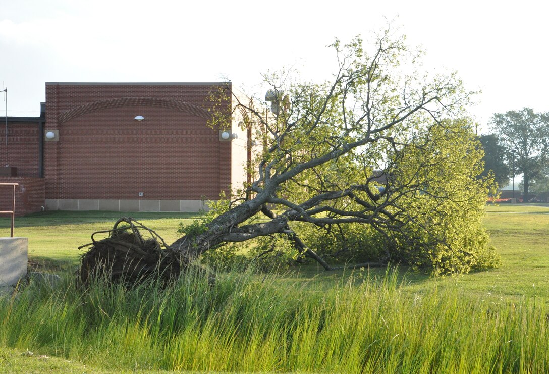 A fallen tree lays near the Langley Lanes Bowling Center as a result of high winds during Hurricane Irene at Langley Air Force Base, Va., Aug. 28, 2011. Joint Base Langley-Eustis personnel began assessment and base recovery options in the early morning hours following the passing of the storm. (U.S. Air Force photo by Senior Airman Jason Joel Brown/RELEASED)