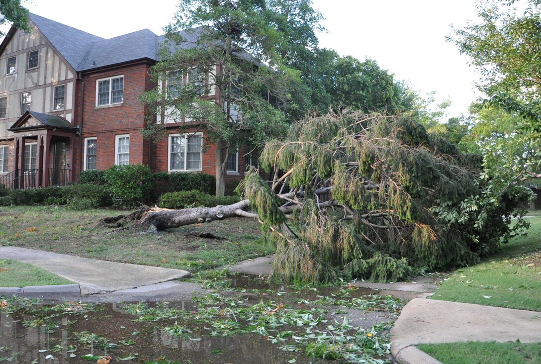 A fallen tree obstructs the sidewalk on the Air Combat Command campus as a result of high winds during Hurricane Irene at Langley Air Force Base, Va., Aug. 28, 2011. Joint Base Langley-Eustis personnel began assessment and base recovery options in the early morning hours following the passing of the storm. (U.S. Air Force photo by Senior Airman Jason Joel Brown/RELEASED)