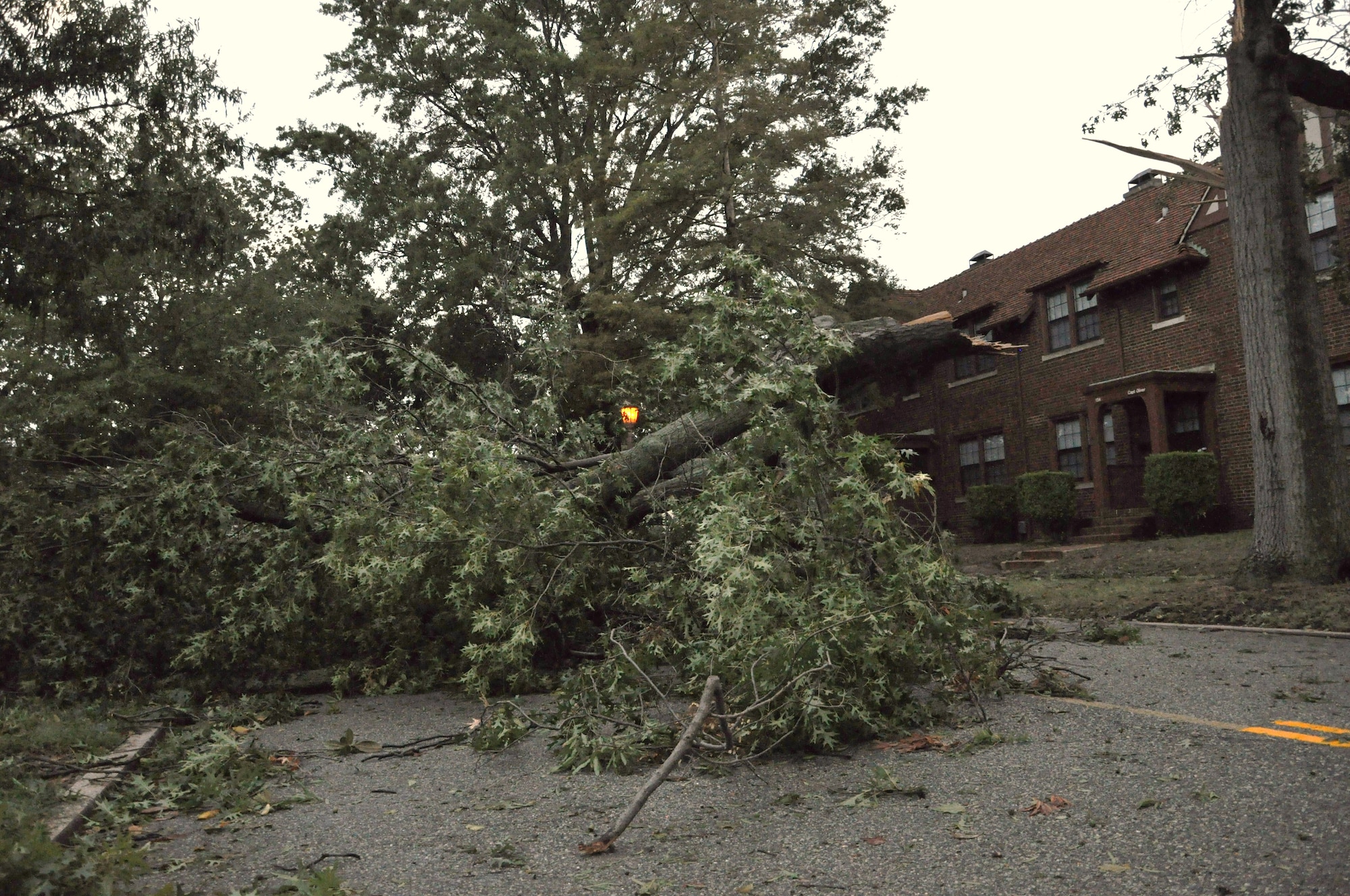 Fallen trees obstruct streets on the Air Combat Command campus as a result of high winds during Hurricane Irene at Langley Air Force Base, Va., Aug. 28, 2011. Joint Base Langley-Eustis personnel began assessment and base recovery options in the early morning hours following the passing of the storm. (U.S. Air Force photo by Senior Airman Jason Joel Brown/RELEASED)