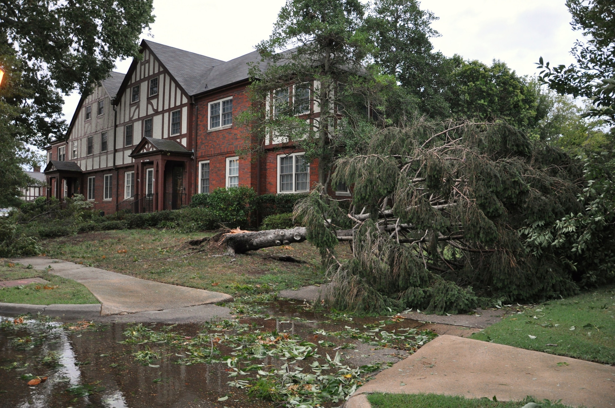 Fallen trees obstruct sidewalks on the Air Combat Command campus as a result of high winds during Hurricane Irene at Langley Air Force Base, Va., Aug. 28, 2011. Officials said the storm knocked out power to more than 4 million people and was responsible for at least 20 deaths along the East Coast. (U.S. Air Force photo by Senior Airman Jason Joel Brown/RELEASED)